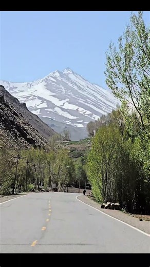 Central highland spring view