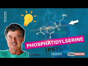 Phosphatidylserine