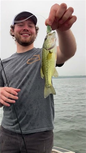 “WISCONSIN strain Large Mouth Bass” 😤🎣 #helpmemakethismakesense #bassfishing #viral