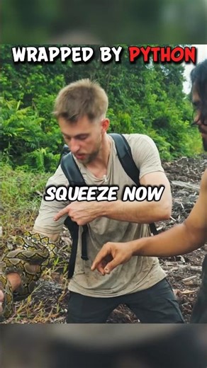 He Let A Giant Python Wrap Around His Arm