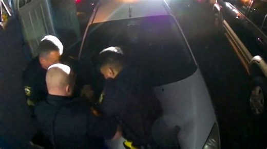 Palo Alto police abuse audit made public