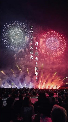 2026長岡花火、みんなが見逃しがちな超絶綺麗な花火…それは大トリの特別花火「君と花火と約束と」