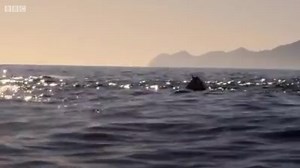 325K views · 9.7K shares | This Is Absolutely Amazing!!! | Most Amazing Views | Facebook