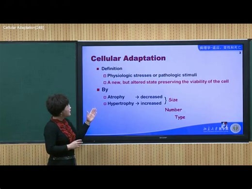 北京大学-病理学-67集全集教学视频教程
