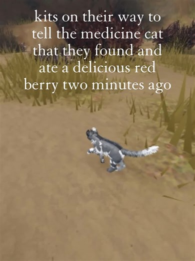 the forbidden raspberry [#wcue #wcuetiktok #wcueroblox #warriorcatsultimate #foryoupage #fypシ #foryou #fy]