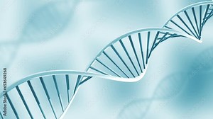Looping glassy DNA model rotating for 14 seconds