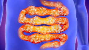 Free video - Intestine, Human Body, Feces, Poop