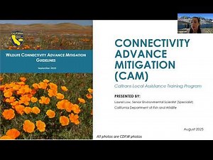 New Opportunities for Advance Mitigation