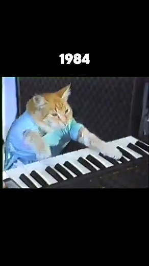 Evolution of Memes: Then vs Now Explained