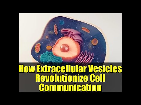 How Extracellular Vesicles Revolutionize Cell Communication | CRISPR Study