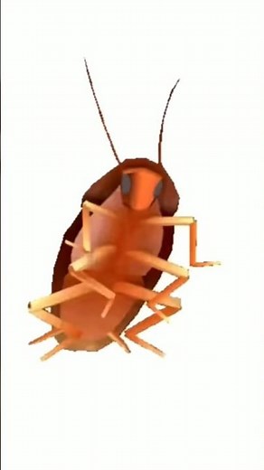 Spinning cockroach