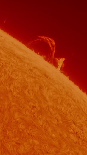 Stunning Solar Prominences Captured in Excellent Conditions