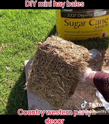 DIY Mini Hay Bales - Country Western Party Decor Ideas