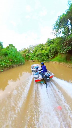 255K views · 931 reactions | Pecoh enjin tu demo nok bayar ko..hor kawe gati hok baru..pah kalu bot pecoh guano....bot pun gati hok baru asal jange nyupoh jah..nok bui ado mene jahni konten kretor kei | Hasli Klatey | Facebook