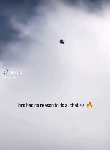 Tumbler Pigeon Fun: A Bird's Sky and Ground Adventure