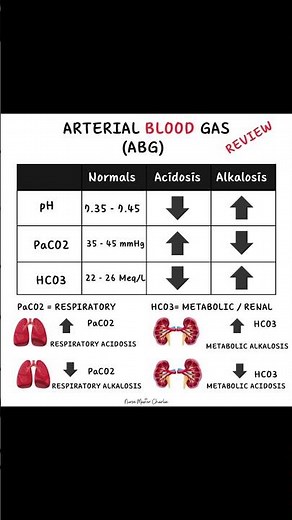 Arterial Blood Gas (ABG)… info & review! ￼#shorts #nurses #abg