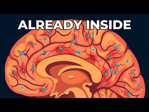 Your Brain's Last Barrier Is Failing Right Now