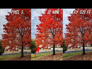 iPhone 12 Mini vs Pixel 5 vs Galaxy S20 FE Camera Comparison Test