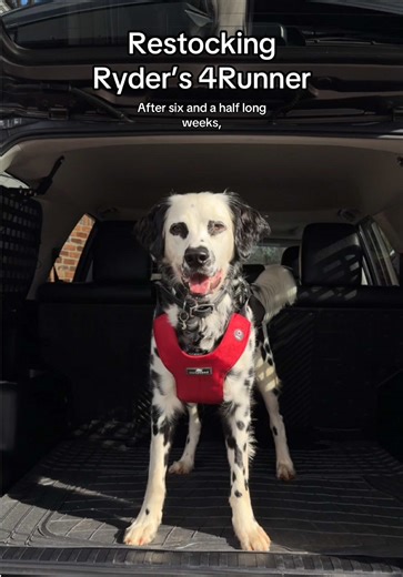 Preparing My Dog's 4Runner for Adventure