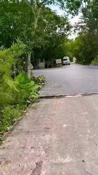 @lue8tmffSubscribeShare#marriageproposals