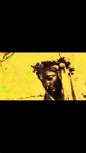 ️ (@fellmesser)’s videos with original sound - ️