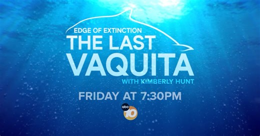 Edge of Extinction: The Last Vaquita -- An ABC 10News Special