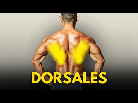 4 EJERCICIOS DE DORSALES QUE DEBES HACER