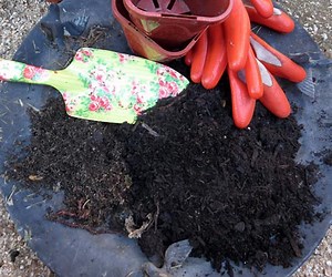 Compost Creativity: Try Various Methods and Test Soil Fertility | Science Project