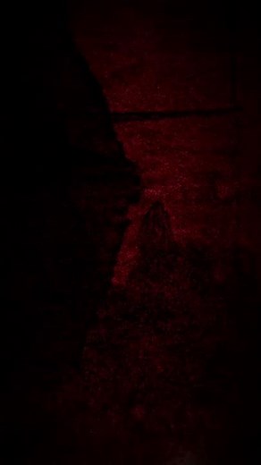 キャラクタームービー 五条 悟（CV：中村悠一）