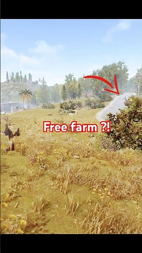 Free farm ... ? #rust #rustgame #rustconsole #rustbasebuild #rustclips #2x2 #gaming #4x4