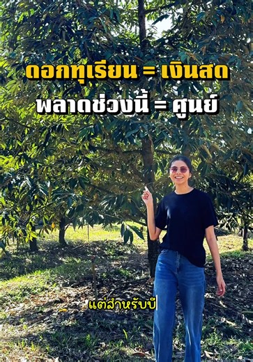 ดูแลดอกทุเรียนให้สวยปังด้วยซีโมดิส