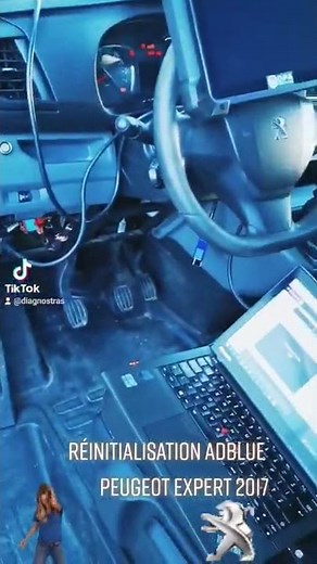 Réinitialisation Adblue Peugeot Expert 2017 #peugeot #garage #strasbourg #voiture #adblue #adblueoff