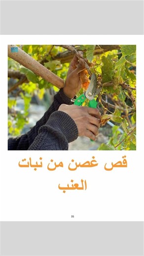 وسائل علوم اول ابتدائي مادة العلوم للصف الاول الابتدائي صار كامل وجاهز بعدد 143 بطاقة ، ورق مقوى صوري مع أغلفة نايلون للحفاظ عليها ❤️ بنسبة وضوح وألوان 100% عالية الدقة 🔴🟣🔵🟢🟤, احبار ليزرية ، وبسعر رمزي أقل من كل البيجات , اسأل البقية وجرب 🙂 . للعلم ان حجم الورق A4 الكبير (حجم ورق الطابعة) وليس B4 الصغير , والصور 🏞🏙🌄 متسلسلة , يعني اذا تخربطن تكدر ترجع ترتبهن بشكل طبيعي وفقا للأرقام🔢 . كما متوفر كافة الوسائل والبطاقات للغة الإنگليزية والعلوم و الاجتماعيات والفيزياء والكيمياء و الأحياء و