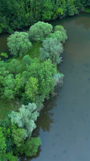 So fängt man große Karpfen im Fluss (20 Kilo+)