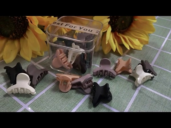 10PCS Small Hair Clips Set for Women and Girls - Mini Claw Clips for Styling and Securing Hair(set9#), multicolor, 10 Count