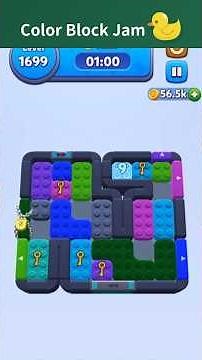 Color Block Jam 1699