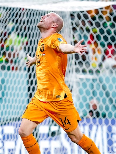 Netherlands Goal vs USA | Klaassen Scores FIFA World Cup!