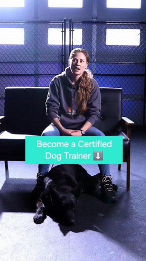7.9K views · 218 reactions | Become a Certified Professional Dog...
