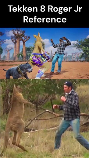 Tekken 8 Roger Jr Kangaroo vs Man Meme Reference