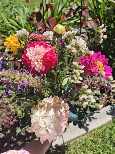 A rustic bouquet made up of...zinnias, dahlias, statice, agastache anf a pee-gee hydrangea! 💐🌞 #hydrangea #zinnia #flowerbouquet#gardening #cutflowers
