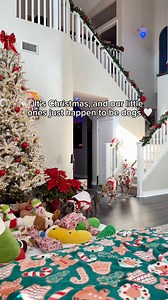 443K views · 28K reactions | It’s Christmas… and our little ones just happen to be dogs 懶 #PetParents #dogfamily #doglife #reels #dogsoffb #pitbulls | Knight & Aston | Facebook