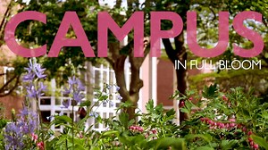 The spring showers brought out the May flowers 🌷 | Illinois State University