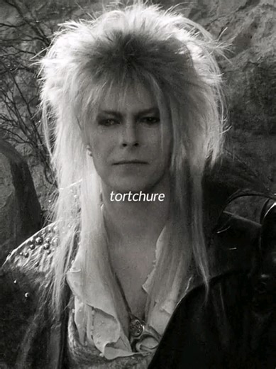 Jareth the Goblin King & David Bowie