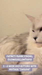 25 reactions | Allison Nicole Payne on Reels | Facebook