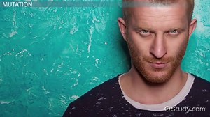 The Four Forces of Evolution