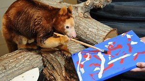 Wacky Weekend: Animal Artists