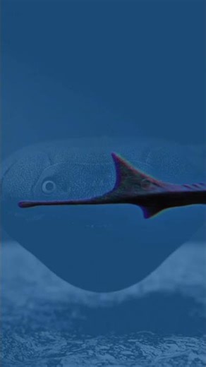 Top facts about sacabambaspis!! By Petr Menshikov, real author #sacabambaspis #paleontology #3d