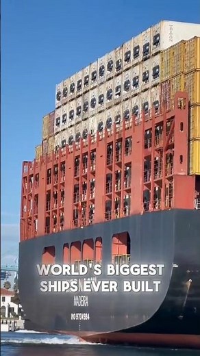This Ship is LITERALLY Bigger Than an Island! 🏝️ (MSC Megaships) 🚢