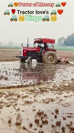 🚜👑😍Massey Ferguson 7250 DI: The Future is NOW (2026 Review!)🚜👑 #tractor #india #tractorvideo #shorts