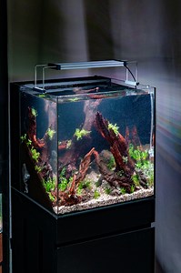 847K views · 8.9K reactions | Rate this scape (1-10)  Check out the...